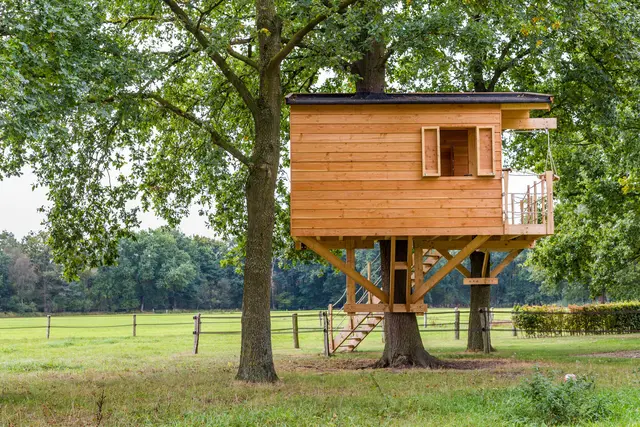 baumhaus-haus-baum-garten-bauen-holz-05
